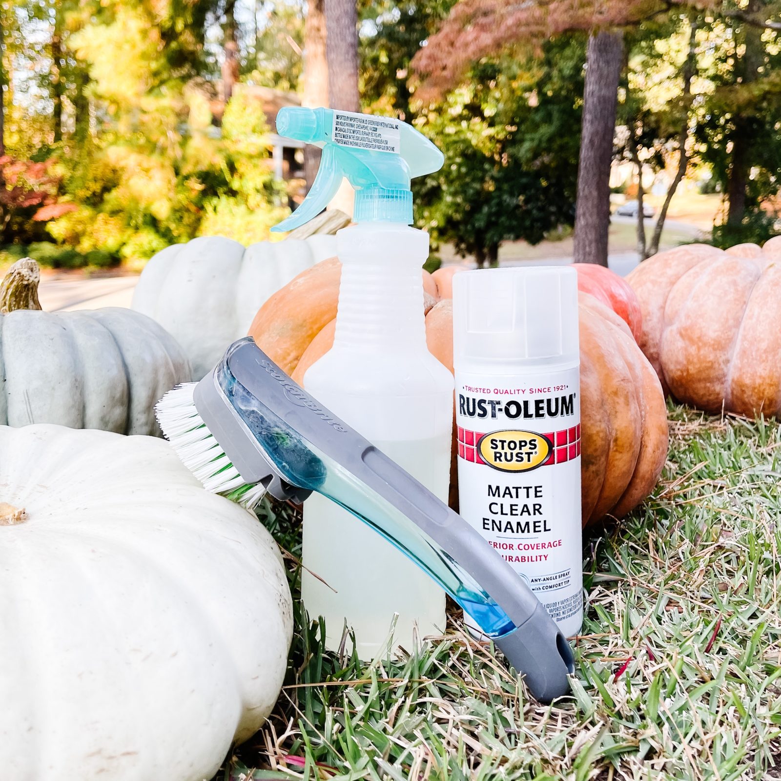 How To Clean and Preserve Pumpkins To Make Them Last Longer